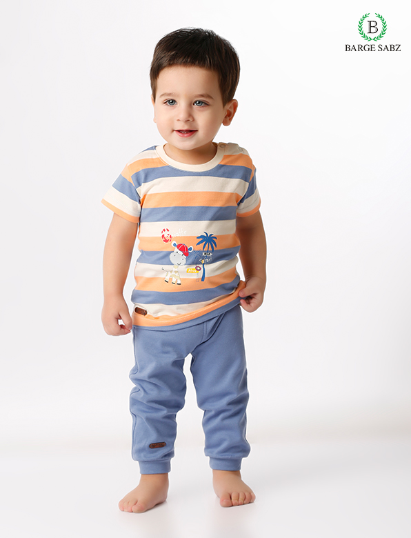 راه راه زرافه